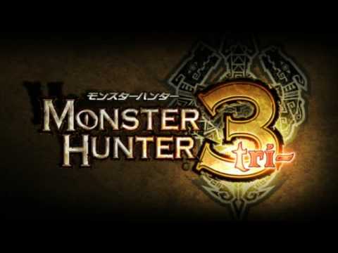 【Wii】モンスターハンター3（トライ）
