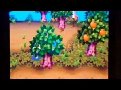 おいでよ どうぶつの森