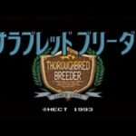 【SFC】サラブレッドブリーダー