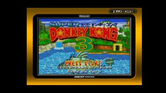 スーパードンキーコング3