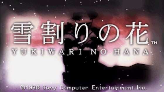 雪割りの花