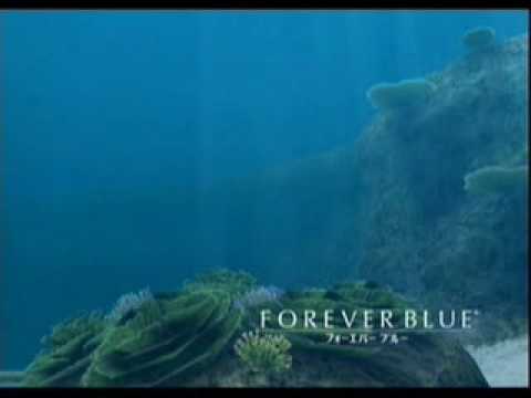 【Wii】FOREVER BLUE