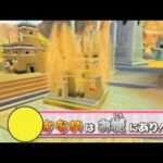 【Wii】パックマンパーティ