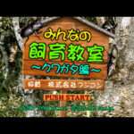 【PS】みんなの飼育教室〜クワガタ編〜