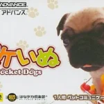 【GBA】ポケいぬ
