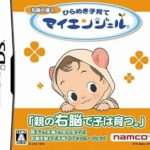 【DS】右脳の達人 ひらめき子育てマイエンジェル