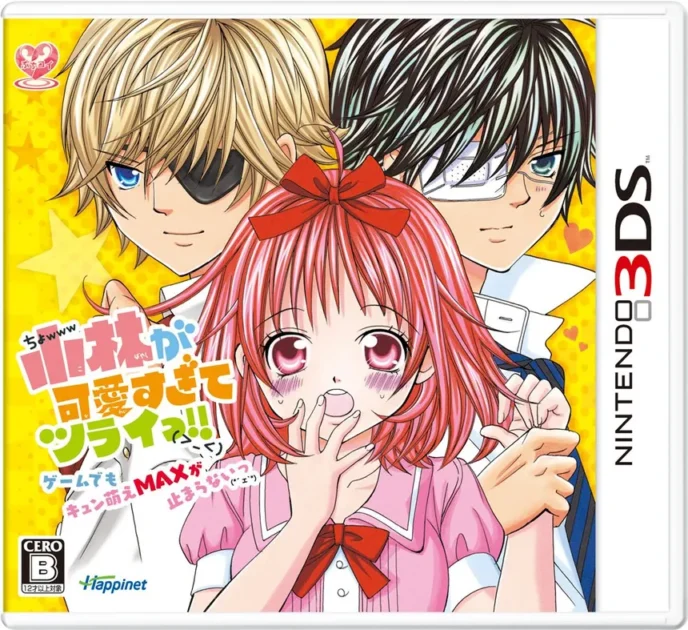 【3DS】小林が可愛すぎてツライっ!! ゲームでもキュン萌えMAXが止まらないっ (*ェ`*)