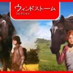 【NS】ウィンドストーム コレクション