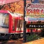【NS/PS4/PC】鉄道にっぽん!路線たびEX 登山電車 小田急箱根編