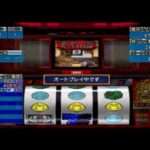 【PS2】大都技研公式パチスロシミュレーターシリーズ