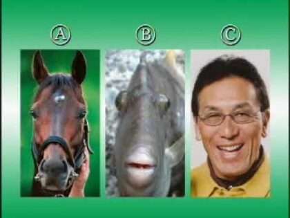 ダービータイム2006