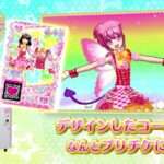 【3DS】プリパラ めざめよ!女神のドレスデザイン