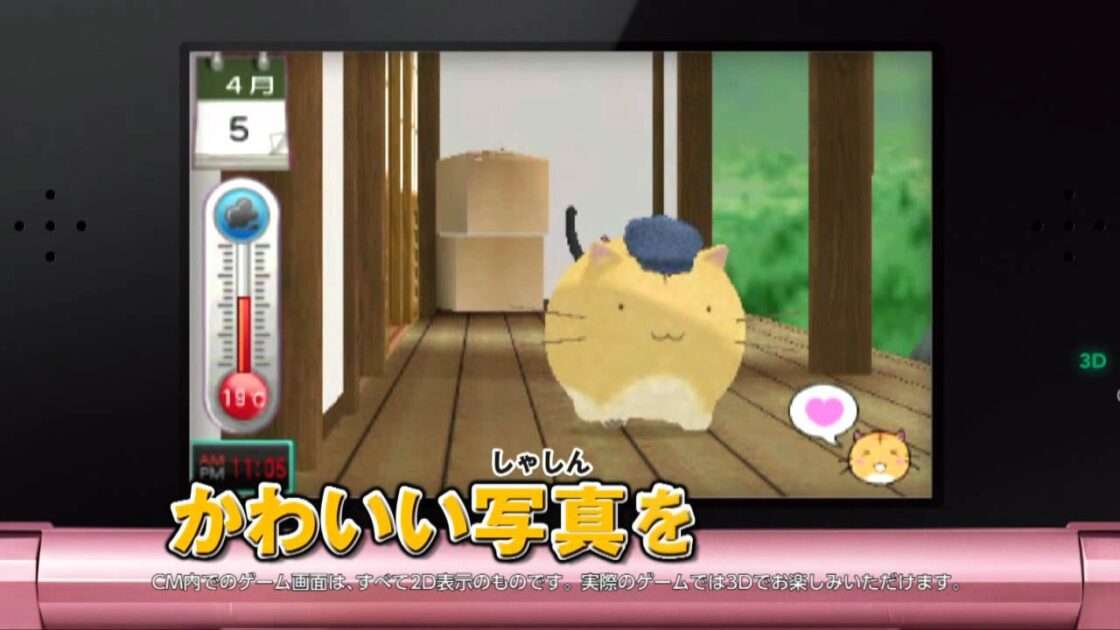 【3DS】ポヨポヨ観察日記