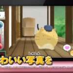 【3DS】ポヨポヨ観察日記
