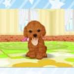 【3DS】かわいいペットとくらそう! わんニャン&ミニミニアニマル