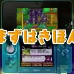 【3DS】ラビラビ外伝 Witchs Cat