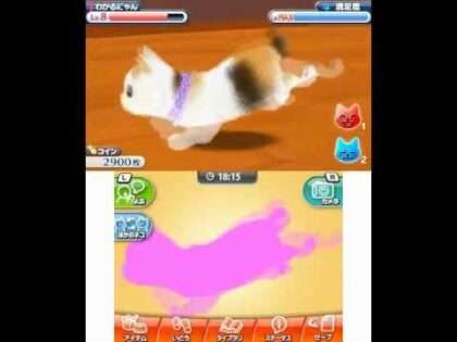 かわいい子猫3D