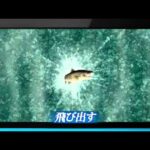 【3DS】Fish Eyes 3D