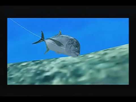 【DC】セガマリンフィッシング