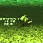 【DC】FISH EYES Wild