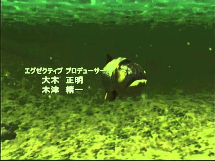 【DC】FISH EYES Wild