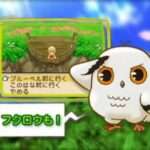 【DS】牧場物語 ふたごの村