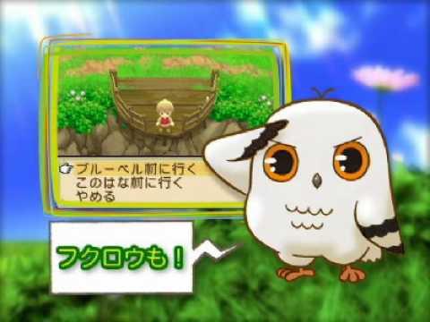【DS】牧場物語 ふたごの村