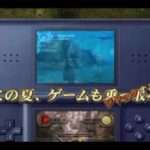 【DS】パイレーツ・オブ・カリビアン/デッドマンズ・チェスト