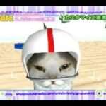 【DS】キャッツ