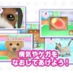 【DS】わんニャンどうぶつ病院