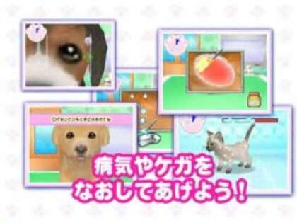 わんニャンどうぶつ病院