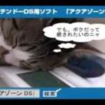 【DS】さかなと遊ぼう! アクアゾーンDS 〜海水魚〜