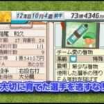 【DS】プロ野球チームをつくろう!2