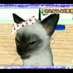 【DS】キャッツ2 だいすきにゃんにゃんパーク