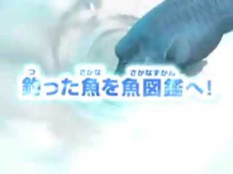 【DS】めざせ!!釣りマスターDS