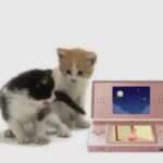 【DS】かわいい子猫DS2