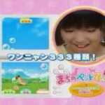 【DS】まちのペット屋さんDS2 〜ワンニャン333匹 大集合!〜