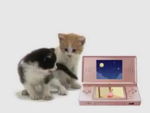 【DS】かわいい子猫DS2