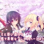 【NS/PS4】ノラと皇女と野良猫ハート HD