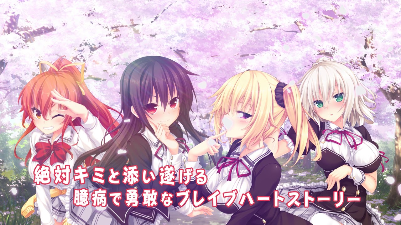 【NS/PS4】ノラと皇女と野良猫ハート HD