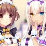 【NS/PS4】ネコぱらVol.2 姉妹ネコのシュクレ