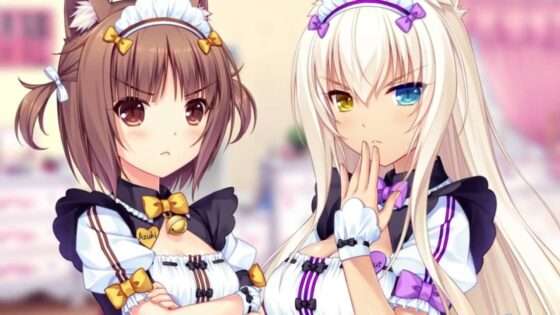 ネコぱらVol.2 姉妹ネコのシュクレ