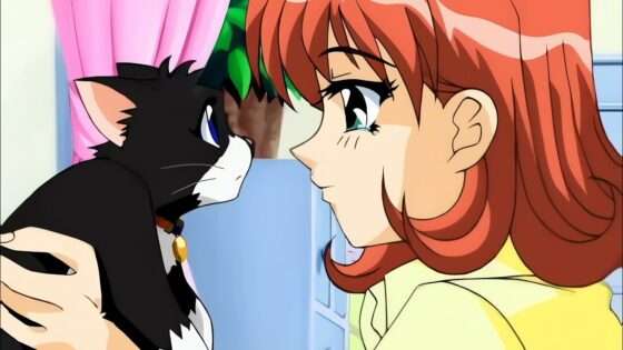 猫なカ・ン・ケ・イ