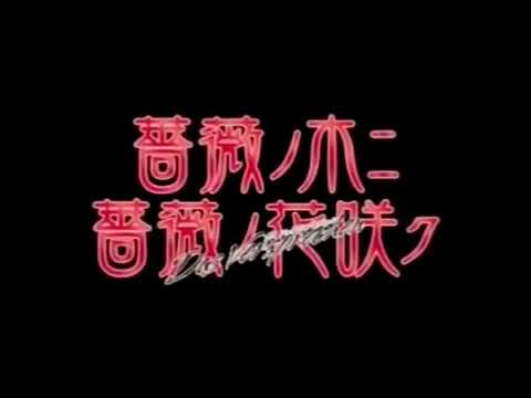 【PS2】薔薇ノ木ニ薔薇ノ花咲ク -Das Versprechen-