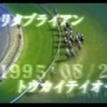【PS2/PS3/WII】ウイニングポスト7 マキシマム2008