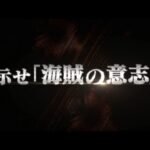 【PS3/PSV】ワンピース 海賊無双2