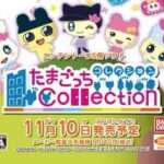 【DS】たまごっちコレクション
