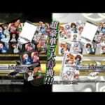 【PSP】ヴァイスシュヴァルツ ポータブル ブーストヴァイス