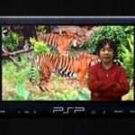 【PSP】ソニーコンピュータサイエンス研究所 茂木健一郎博士監修 脳に快感 みんなでアハ体験!