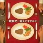 【DS】右脳の達人 爽解! まちがいミュージアム